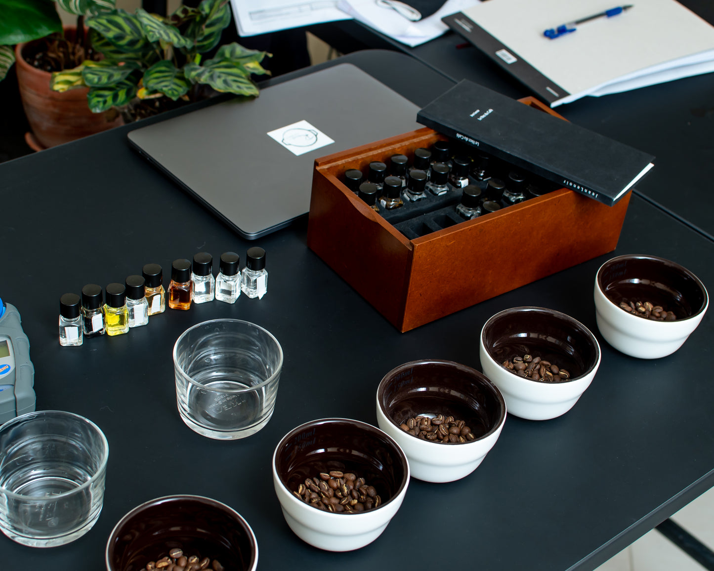 Coffee Gears - Cupping Bowls 220ml